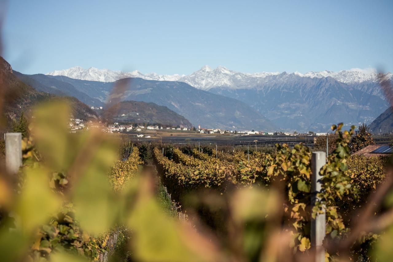 Weingut Dona Villa Eppan an der Weinstraße Eksteriør billede